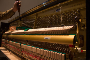 A look at the inside of a piano while being tuned. Photo by Christy 
