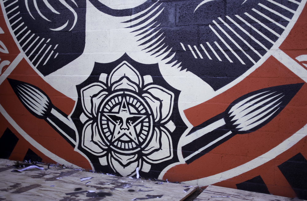 15 Minutes of Hero Worship with Shepard Fairey