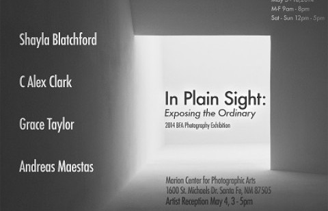 In Plain Sight exhibits at Marion Center through May 18.