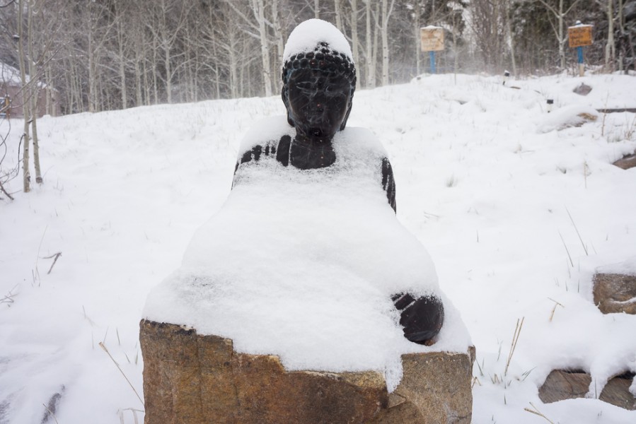“Snowy Buddha”, during the retreat an unexpected and magical snow transpired. Photo by Luke Montavon 