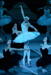 Performance at the Screen: Swan Lake