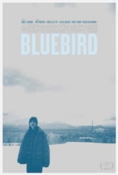 Sneak Preview: Bluebird