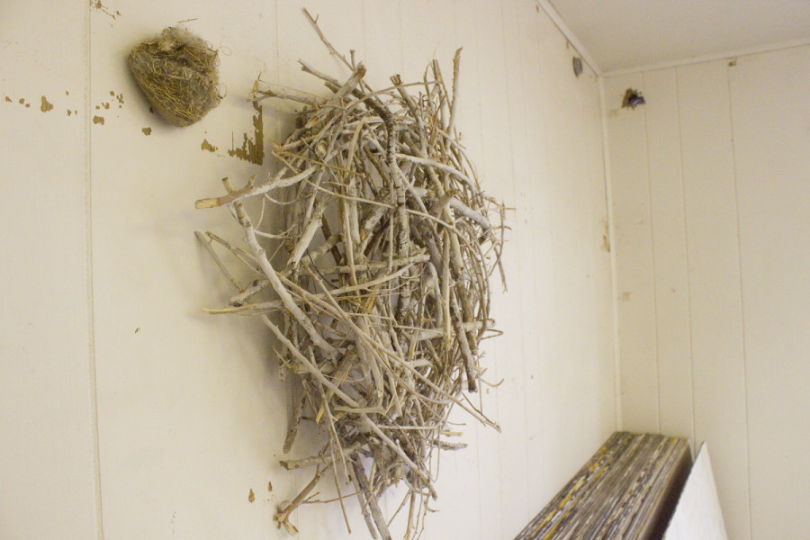 A nest created by Phat Le and a smaller, real nest for comparison. Photo by Andrew Koss