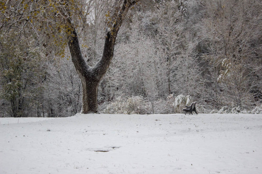 Winter wonderland. Photo by Kyleigh Carter. 