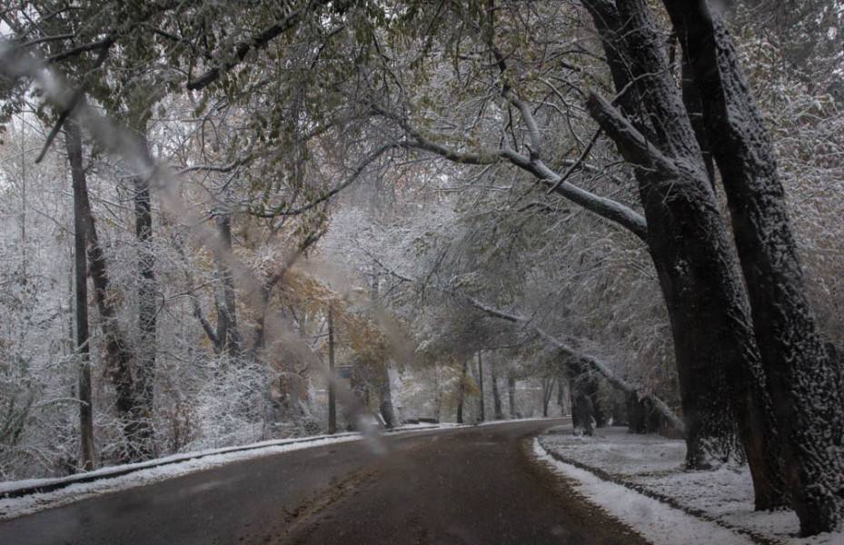Driving down icy roads in Santa Fe. Photo by Kyleigh Carter.