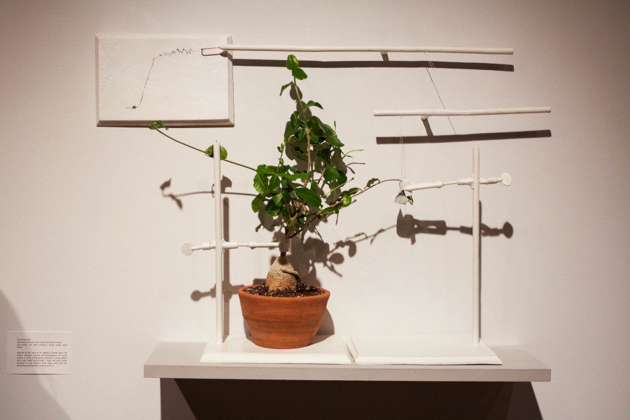 “Interactions Between the Living and the Non-Living” by Sarah Rosenthal. Made with cast plastic, life plant, ceramics, wood, string and sheet metal. Photo by Whitney Wernick
