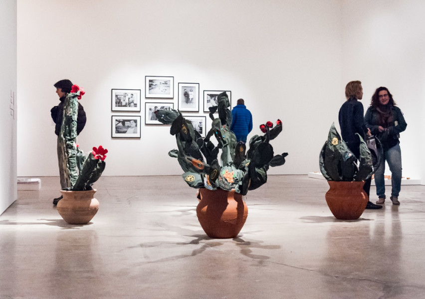 Space Between by Margarita Cabrera. Each cactus was stitched in collaboration with Maria Lopez, Guigermilla Juarez, Kemley Gomez, and Candelaria Cabrera. Photo by Sasha Hill