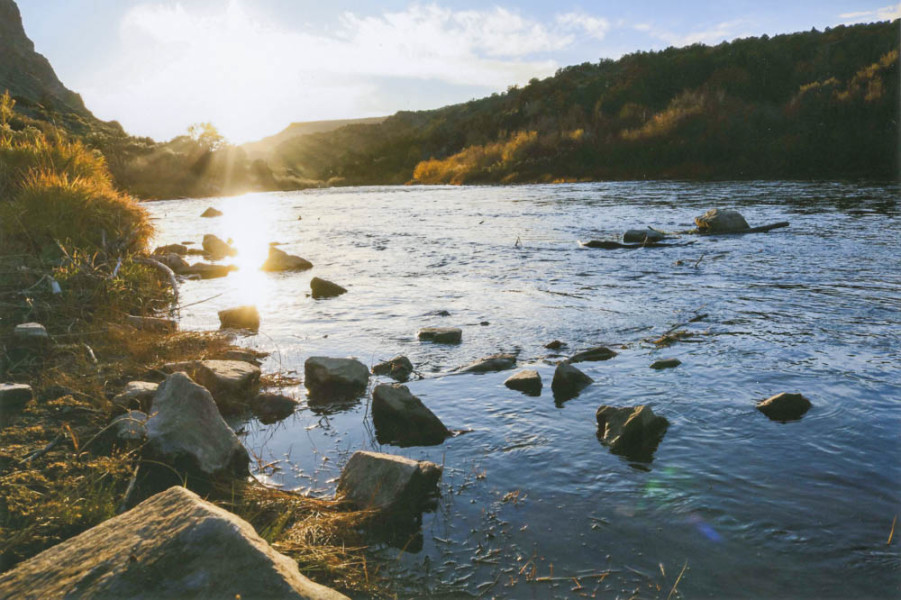 The sunlit Rio Grande River just outside Taos, NM. Photo by Eduardo Rocha.