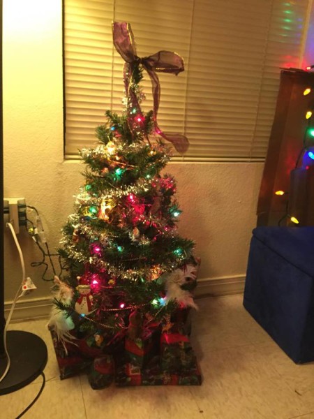 Doherty has her Christmas tree decorated and stashed with presents. Photo provided by Doherty. 