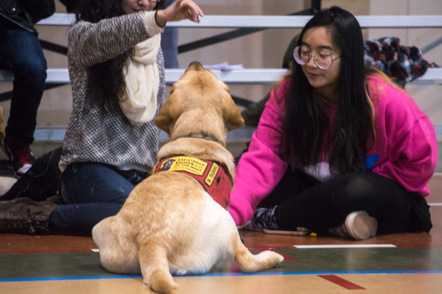 All the dogs that visited campus were service dogs and very well-behaved. Photo by Jennifer Rapinchuk.
