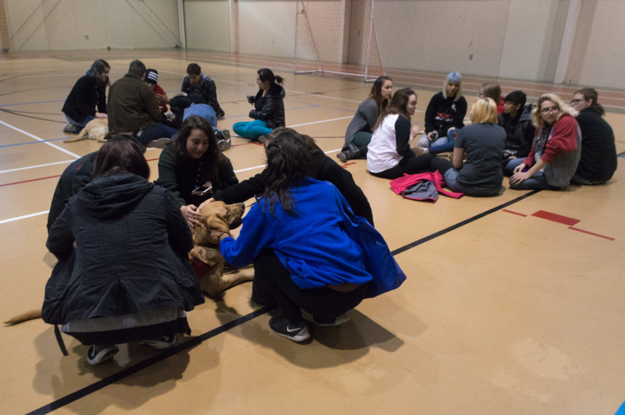 Circles of students sit patiently waiting for a dog to take initiative and join them. Photo by Jennifer Rapinchuk.
