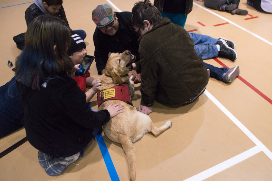The dogs also enjoy time to relax when their only job is to make the students happy. Photo by Jennifer Rapinchuk.