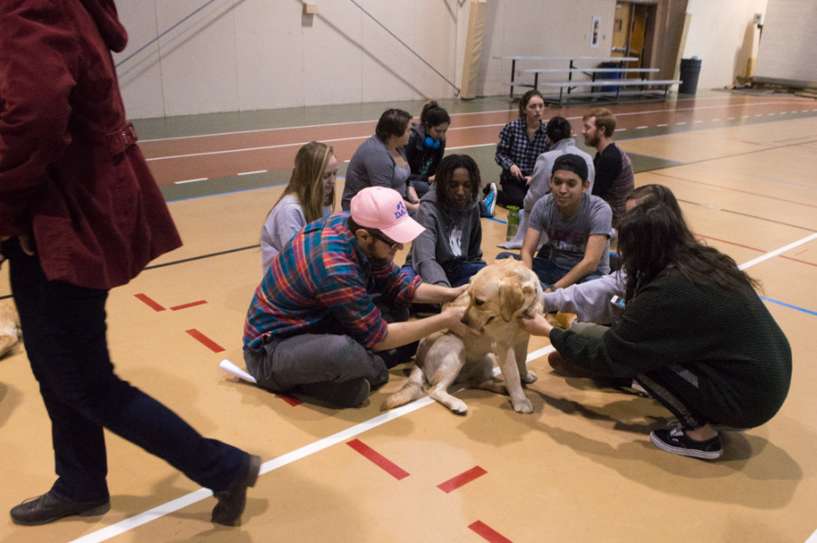 A dog sits among a group of students happily accepting a large amount of attention. Photo by Jennifer Rapinchuk.