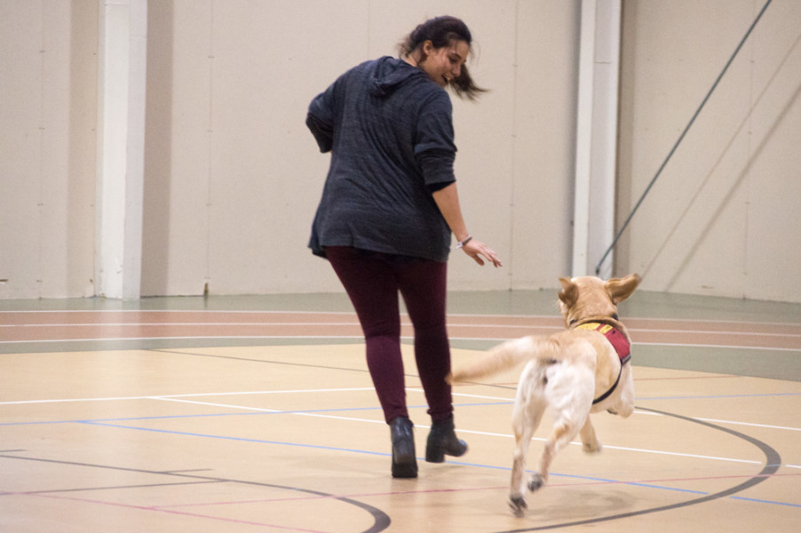 Many students meet the dogs with much enthusiasm before they are encouraged to keep the space calm and peaceful. Photo by Jennifer Rapinchuk.