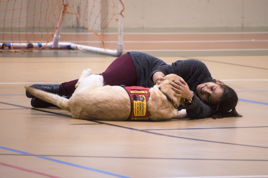 Just laying down with a dog can be enough to help a student find their happy place among the chaos of the week before finals. Photo by Jennifer Rapinchuk.