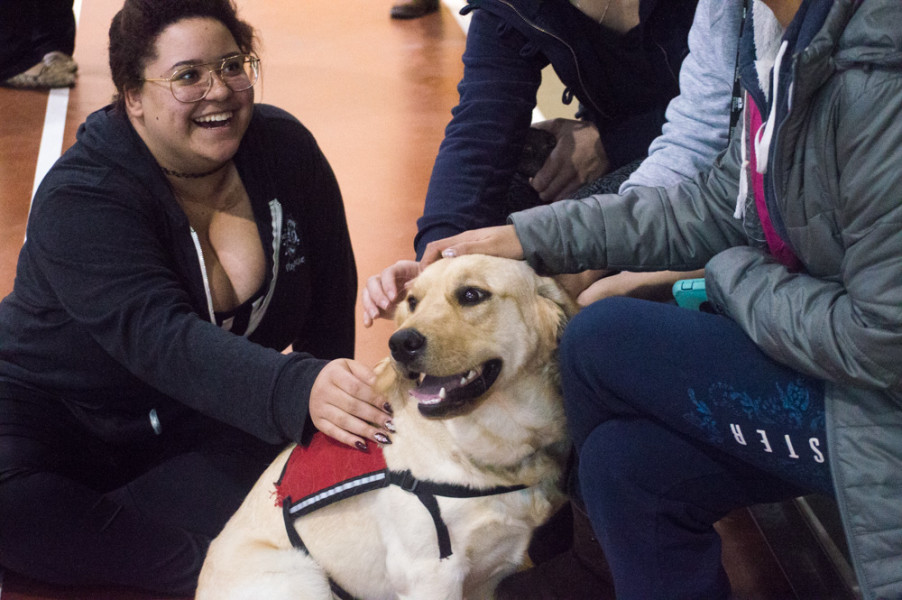Students enjoy the stress-relieving company of dogs at the DFC. Photo by Jennifer Rapinchuk.