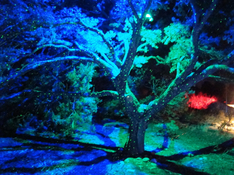 During GLOW, the Santa Fe Botanical Gardens are lit up with spectacular displays. Photo provided by Glow.