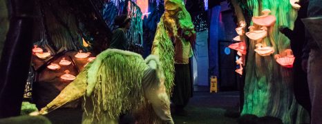 Halloween at Meow Wolf