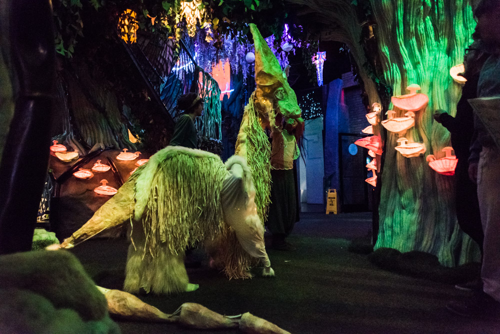 Santa Fe's Meow Wolf hosts Halloween in an alternative universe. The