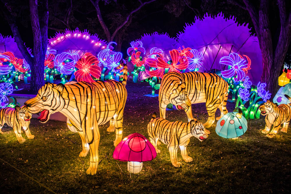 Albuquerque's New Mexico Chinese Lantern Festival The Jackalope