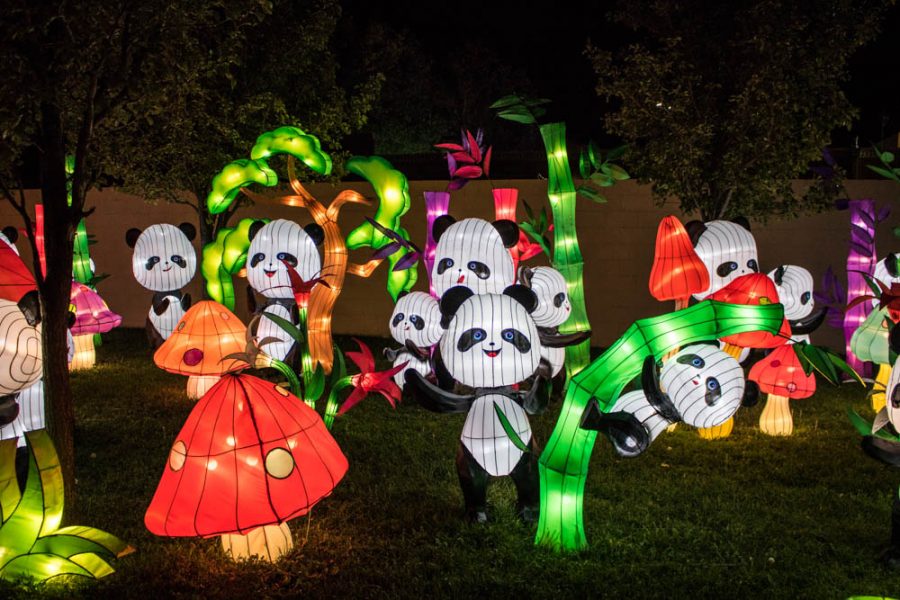 Frolicking pandas at the Chinese Lantern Festival. Photo by Chris Dorantes