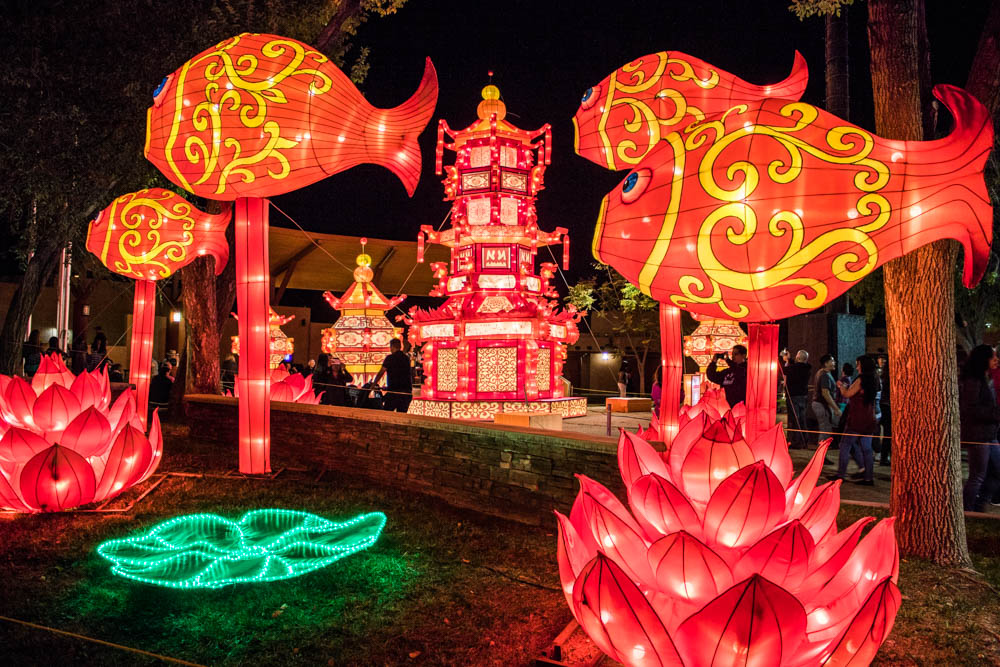 Albuquerque's New Mexico Chinese Lantern Festival The Jackalope